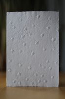 Lindenstern